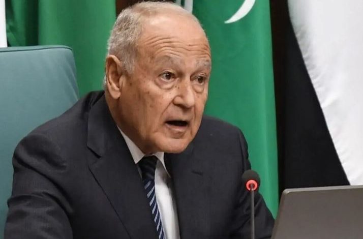 أبو الغيط أمام مجلس الأمن: حان وقت اتخاذ القرار الصائب أخلاقيا بوقف حرب غزة