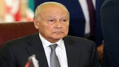 أبو الغيط: العدوان الإسرائيلي على غزة هدفه تصفية القضية الفلسطينية وطمس الهوية
