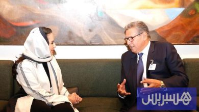 أخنوش يلتقي منظمة التعاون الرقمي