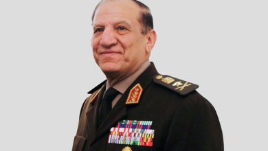 ابنة الفريق سامي عنان تغادر المستشفى بعد إصابتها في حادث تصادم بالبحيرة