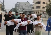الأرقام تفضح المزاعم الإسرائيلية عن "مناطق آمنة" في الجنوب
