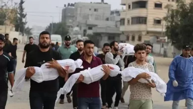 الأرقام تفضح المزاعم الإسرائيلية عن "مناطق آمنة" في الجنوب