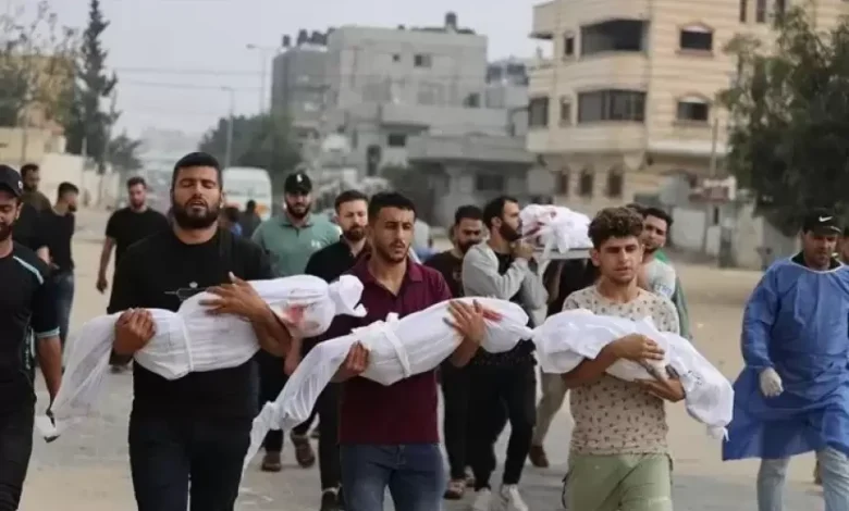 الأرقام تفضح المزاعم الإسرائيلية عن "مناطق آمنة" في الجنوب