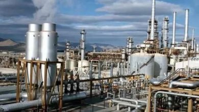 البترول: مصانع الأسمدة تحصل على كامل احتياجاتها من الغاز وفقا للتعاقدات