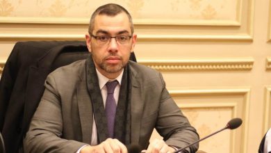 الخبير الاقتصادي محمد فؤاد: شروط قرض الـ1.3 مليار دولار بيئية وفنية ولا تمس دعم الوقود