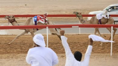 انطلاقة قوية لمنافسات الحقايق في مهرجان العين لسباقات الهجن