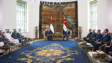 بالصور.. رئيس الدولة والرئيس المصري يبحثان العلاقات الأخوية والتطورات في المنطقة