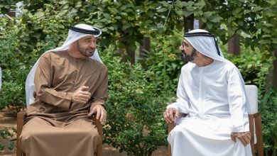 بالفيديو.. رئيس الدولة ومحمد بن راشد يبحثان شؤون الوطن والمواطن في قصر البحر بأبوظبي