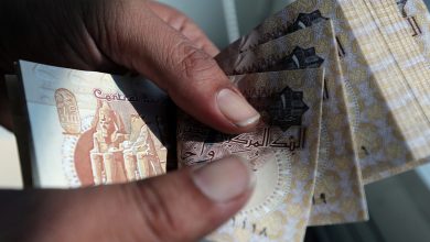بلومبرج إنتليجنس: الجنيه المصري سيظل قويا رغم الخفض الكبير لأسعار الفائدة