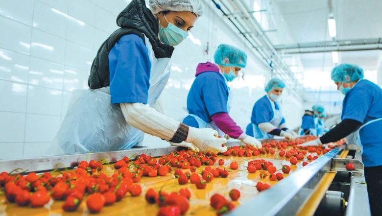 خطة لزيادة صادرات مصر الغذائية والزراعية إلى 19 مليار دولار بحلول 2030