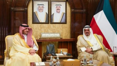 رئيس الوزراء يستقبل وزير الداخلية السعودي: ترسيخ الشراكة الاستراتيجية ودعم العمل المشترك