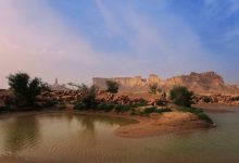 عقب فيديو مثير للجدل.. «الحياة الفطرية» السعودية تصدر بيانا وتوضيحا