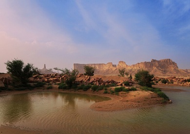 عقب فيديو مثير للجدل.. «الحياة الفطرية» السعودية تصدر بيانا وتوضيحا