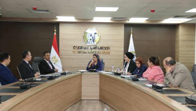 لجنة المحافظات بالمجلس القومي للمرأة تؤكد أهمية التأمينات الاجتماعية للعاملات غير المنتظمات