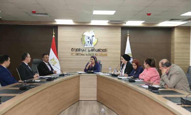 لجنة المحافظات بالمجلس القومي للمرأة تؤكد أهمية التأمينات الاجتماعية للعاملات غير المنتظمات
