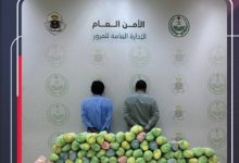مرور عسير يقبض على مقيمين لترويجهما 20 كيلوجرامًا من القات