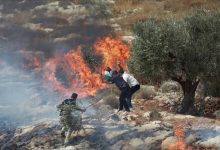 مستوطنون يحرقون أراضي زراعية في الخليل واقتحامات واعتقالات برام الله والقدس