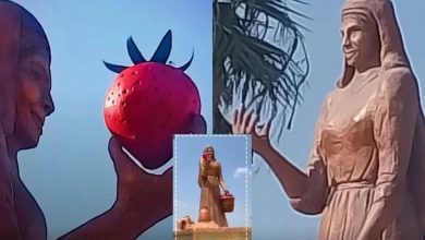 مصر: أول رد رسمي على اختفاء ثمرة الفراولة من التمثال الأيقوني