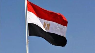 مصر تثمن اعتماد الرؤية المشتركة للأمن والتعاون في المنطقة بمبادرة مصرية - سعودية