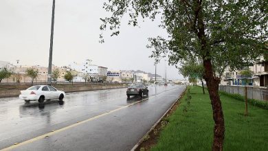 موسم الأمطار الغزيرة يطرق الأبواب.. و«الوسم» يبدأ 24 ربيع الثاني