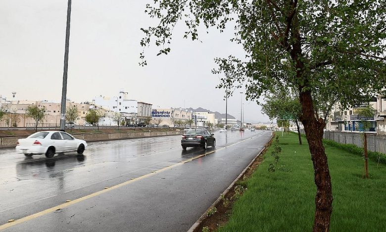 موسم الأمطار الغزيرة يطرق الأبواب.. و«الوسم» يبدأ 24 ربيع الثاني