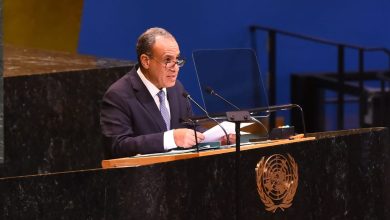 وزير الخارجية: يجب التوصل إلى حل شامل للأزمة اليمنية يحفظ حرية الملاحة وأمن البحر الأحمر