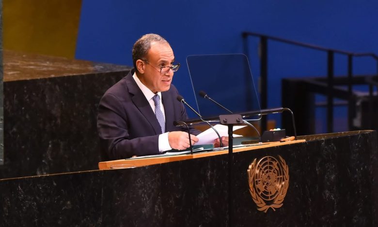 وزير الخارجية: يجب التوصل إلى حل شامل للأزمة اليمنية يحفظ حرية الملاحة وأمن البحر الأحمر