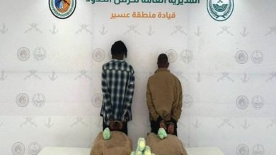 القبض على مخالفين لنظام أمن الحدود لتهريبهما 40 كيلوجرامًا من القات بعسير