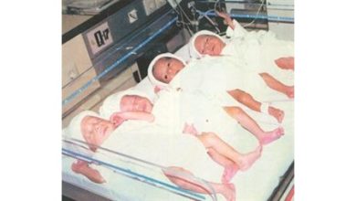 3 توائم كويتيين وأردنيتان أوائل مواليد 2012