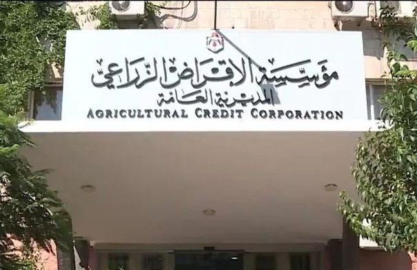 422 مستفيدا من "الإقراض الزراعي" في عجلون...