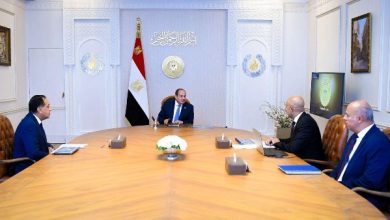 الرئيس عبدالفتاح السيسي