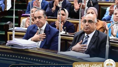 محمود فوزي
