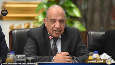 وزير الكهرباء