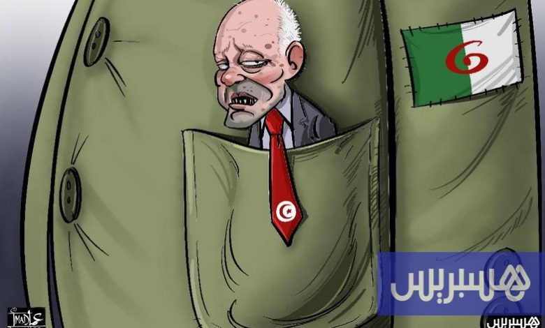 إرادة في الجيب