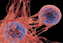 ابتكار دوائي جديد بقدرة استثنائية ضد أنواع متعددة من...