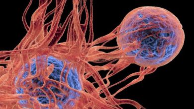 ابتكار دوائي جديد بقدرة استثنائية ضد أنواع متعددة من...