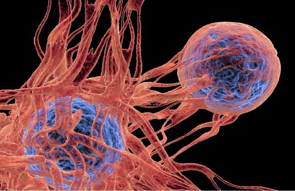 ابتكار دوائي جديد بقدرة استثنائية ضد أنواع متعددة من...