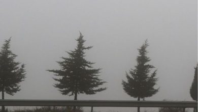 الأرصاد تحذر من الضباب وتدني مدى الرؤية صباح السبت...
