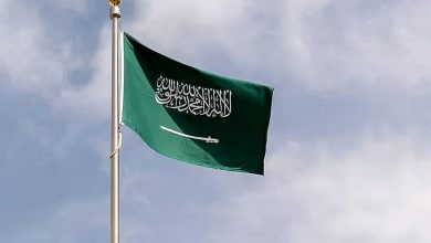 التشريعات الجديدة جذبت شركات عالمية بصناعة السيارات والآلات والتعدين للمملكة