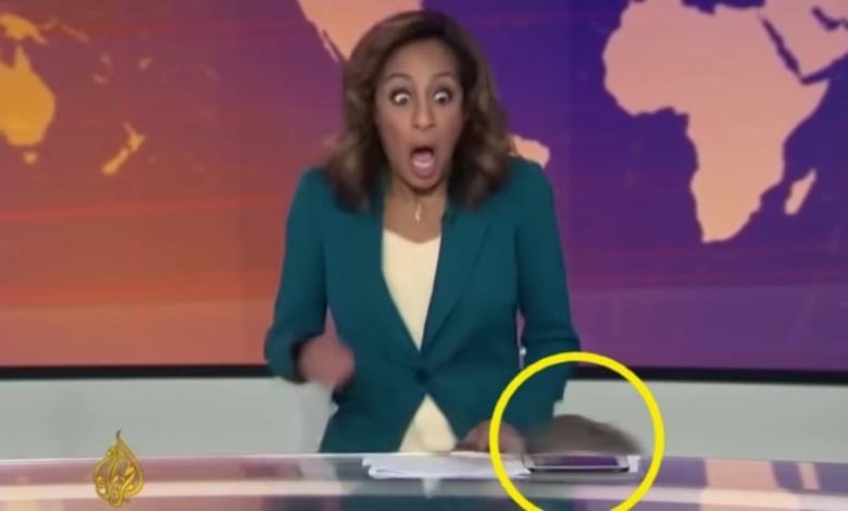 الجزيرة تحسم الجدل حول فيديو "الفأر والمذيعة" وتكشف ما حدث