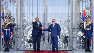 السيسي والبرهان يتفقان على تفعيل الآلية الرباعية لمعالجة الأزمة السودانية ويعلنان توافقهما حول قضية السد الإثيوبي