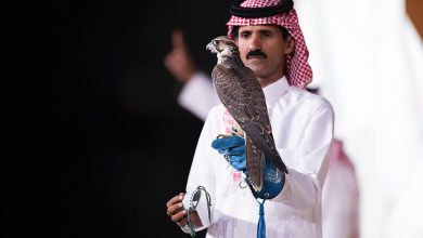 بيع فرخ شاهين بـ (119) ألف ريال في الليلة الثامنة لمزاد نادي الصقور السعودي 2025