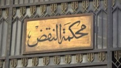 تأجيل الطعن المقدم من المضيفة التونسية قاتلة ابنتها لـ24 ديسمبر