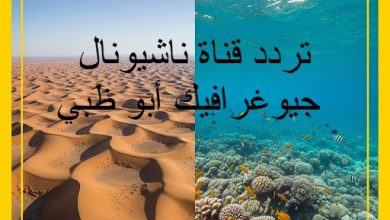 تردد ناشيونال جيوغرافيك أبوظبي HD - التحديث الأخير 2025