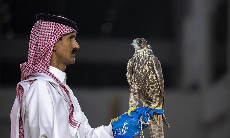 ثلاثة صقور منغولية تُباع بـ420 ألف ريال في معرض الصقور والصيد السعودي الدولي 2025