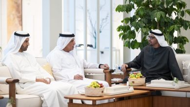رئيس الدولة يستقبل حاكم رأس الخيمة
