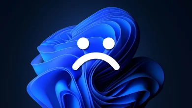 رغم دنو أجله: مئات الملايين من الحواسيب ما زالت تعمل بنظام Windows 10!