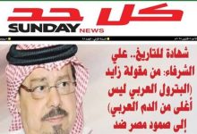 زايد ونصر أكتوبر || علي الشرفاء وشهادة للتاريخ على وحدة الدم والمصير .. عزة لا تموت