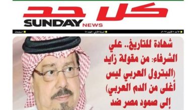 زايد ونصر أكتوبر || علي الشرفاء وشهادة للتاريخ على وحدة الدم والمصير .. عزة لا تموت