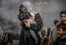 صحفية فلسطينية .. فقدت 400 من عائلتها ووثقت وجع غزة في كتاب